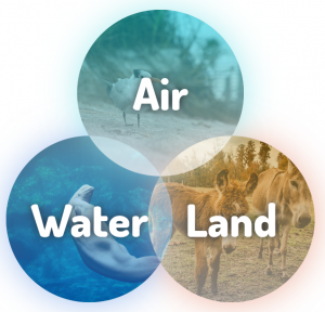 Diagram for the Florida Environmental Interface Portal