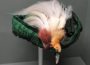 The Bird Hat Craze That Sparked a Preservation Movement - Pacific