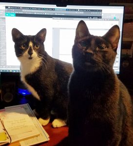 Two cats, one black and one black and white, sit in front of a computer screen blocking its view.