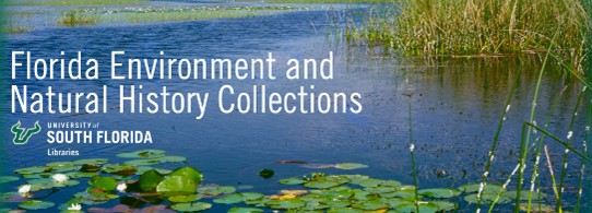 Banner image for the Florida Environment and Natural History Collections