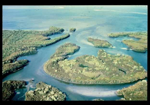 photo of bullfrog creek from ELAPP digital collections