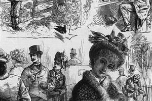 illustration of a woman wearing a hat adnored with stuffed birds