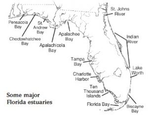 Map of some of Florida's major esturaries