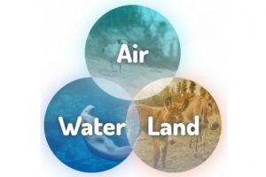 Florida Environmental Interface (FEI) portal diagram: waiter, air, and land meet in a vin diagram