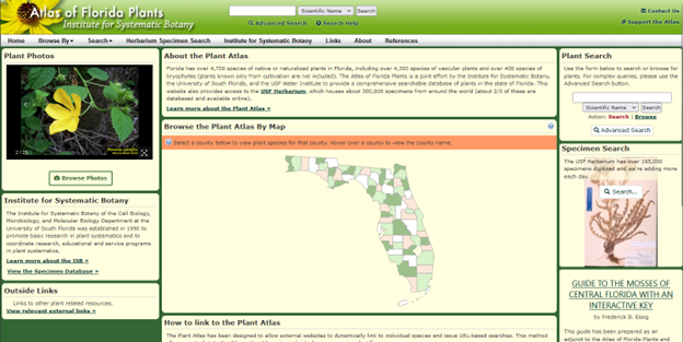 screenshot of Atlas of Florida Plants website