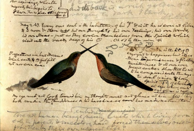 clipping from a diary showing cursive writing