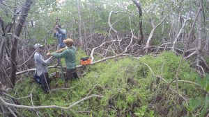 Three men doing scientific work in a forested area.