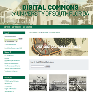 screen shot of Digital Collections landing page