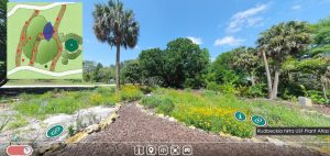 virtual tour view of the USF Botanical Gardens