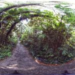 virtual tour image of shade garden in 2022
