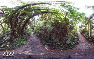 virtual tour image of shade garden in 2022