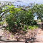 virtual tour image of shade garden in 2025 showing less shade