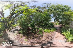 virtual tour image of shade garden in 2025 showing less shade