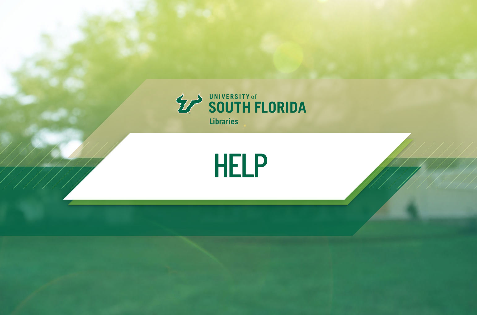 USF Libraries Connect from OffCampus