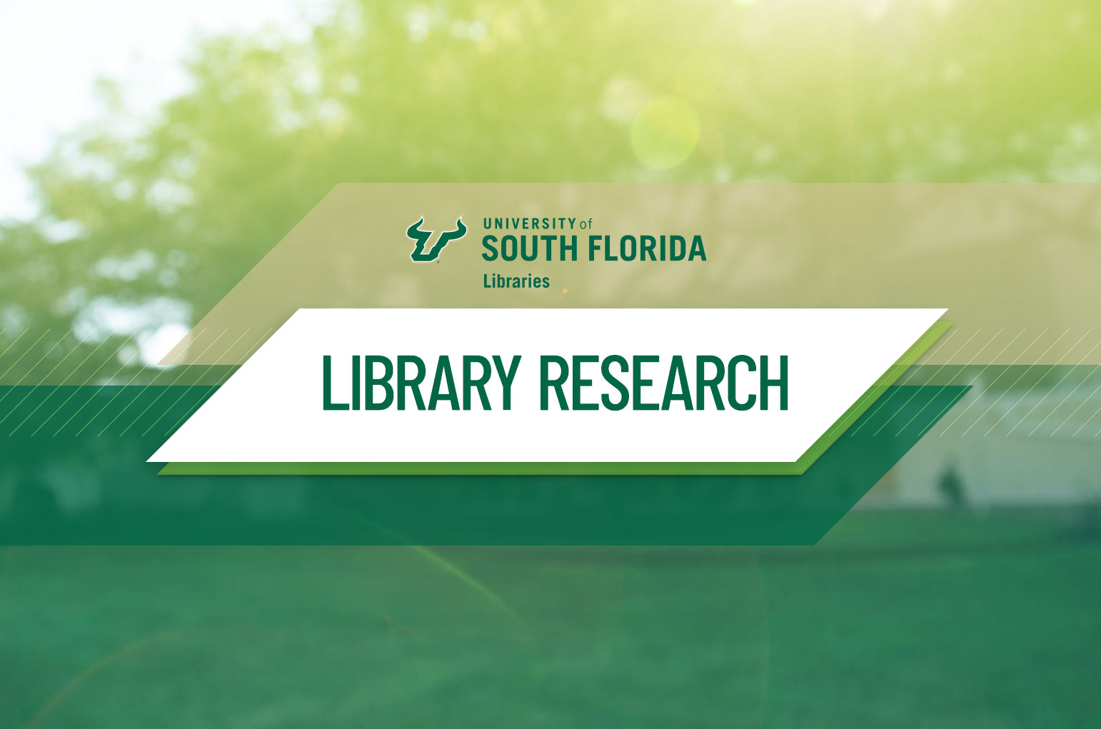 university of south florida library databases