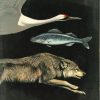 Endangered Species Day: Using the Archives to Advocate for Conservation