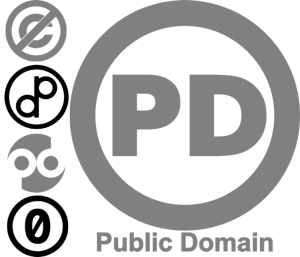 Annual Vote for the Public Domain