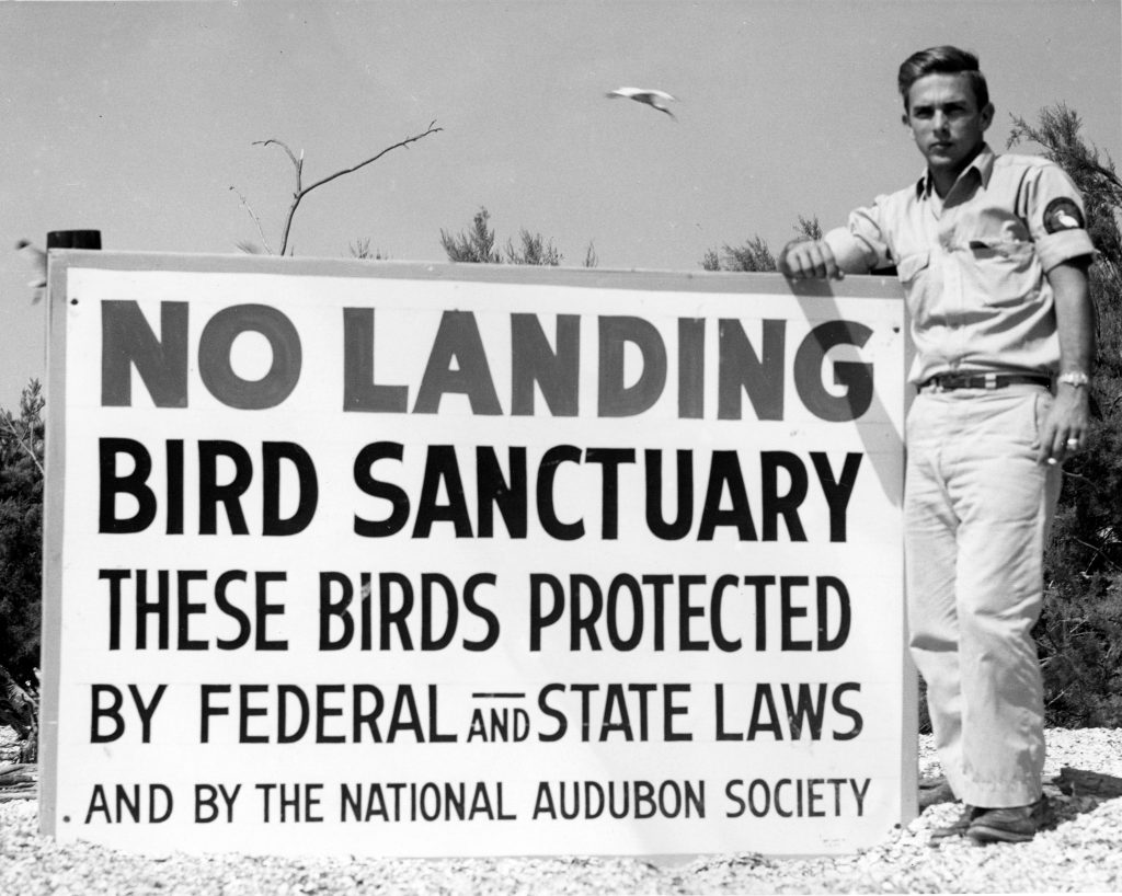 Five Decades of Birding: Florida Ornithological Society Records Available Online
