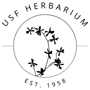 The official USF Herbarium Logo, which features a circle with a black image of a flattened Tampa butterfly orchid. On the bottom features an estimated date of the founding of the USF Herbarium, which is 1958.