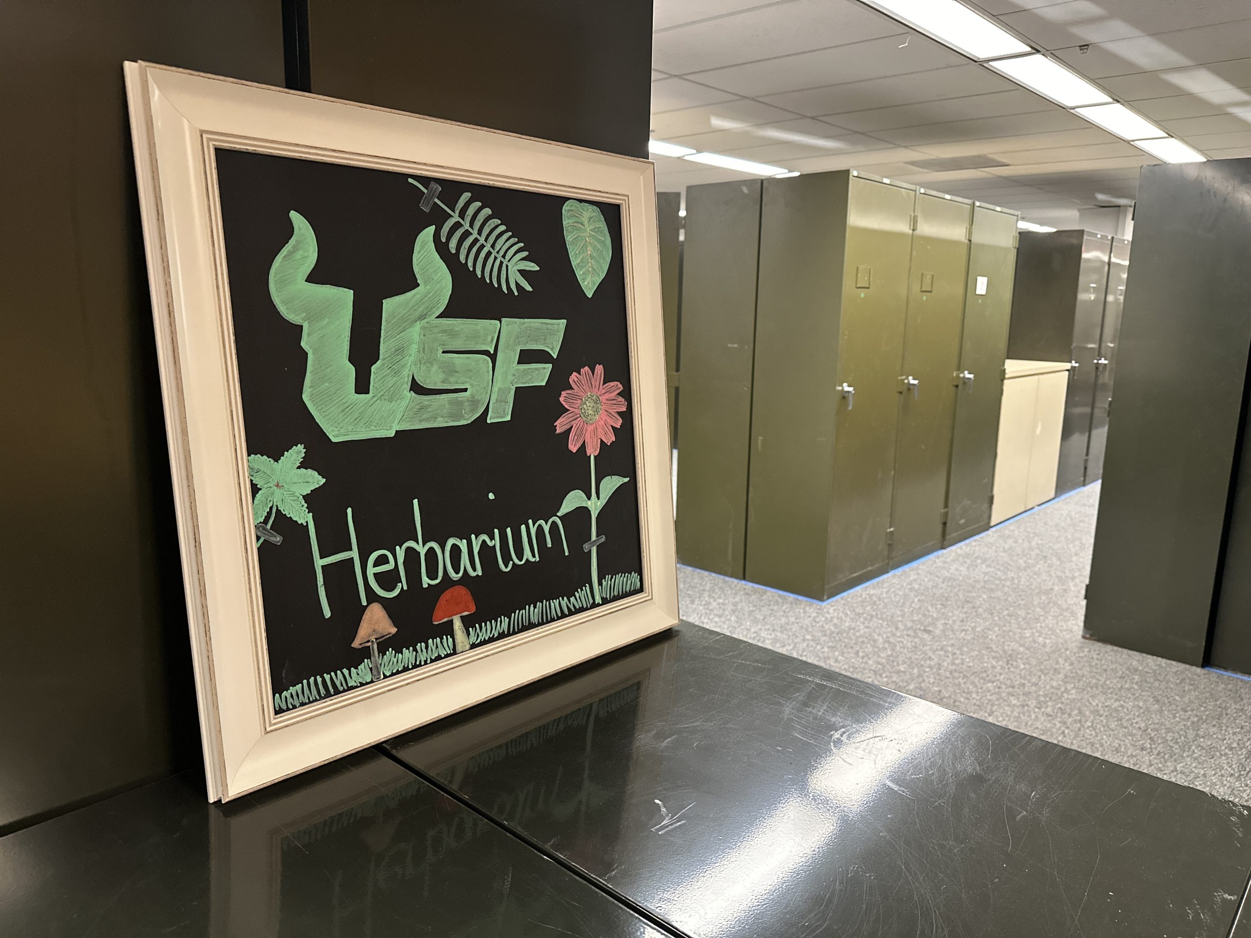 USF Libraries USF Libraries’ Strategic Collections Grow with Addition