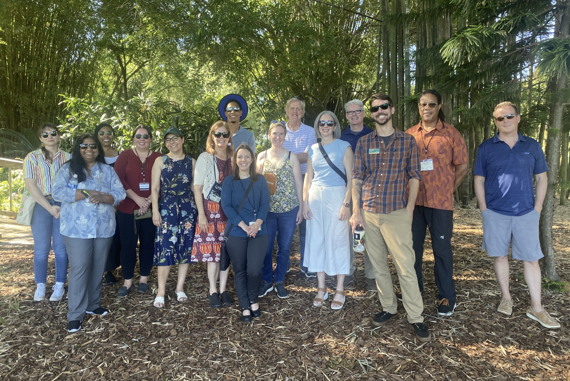 USF Libraries - Faculty Applications Open For Collections to Curriculum ...