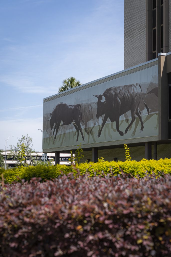 USF Tampa Library Welcomes New Building Partners