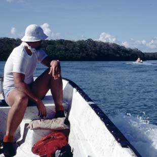 Dr. John Ogden Florida and Caribbean Reef Collection