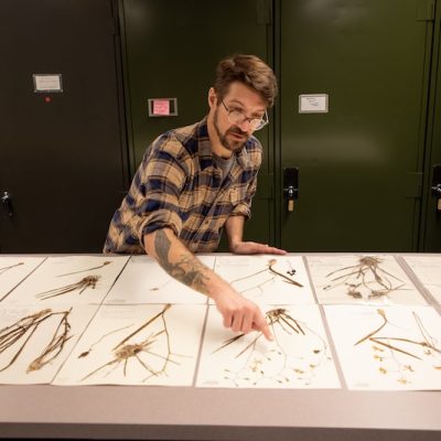 Not aliens, but accountants: a USF Libraries curator helps explain the riddle of Monte Sierpe