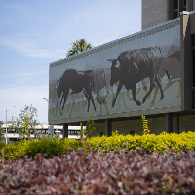 USF Tampa Library Welcomes New Building Partners!